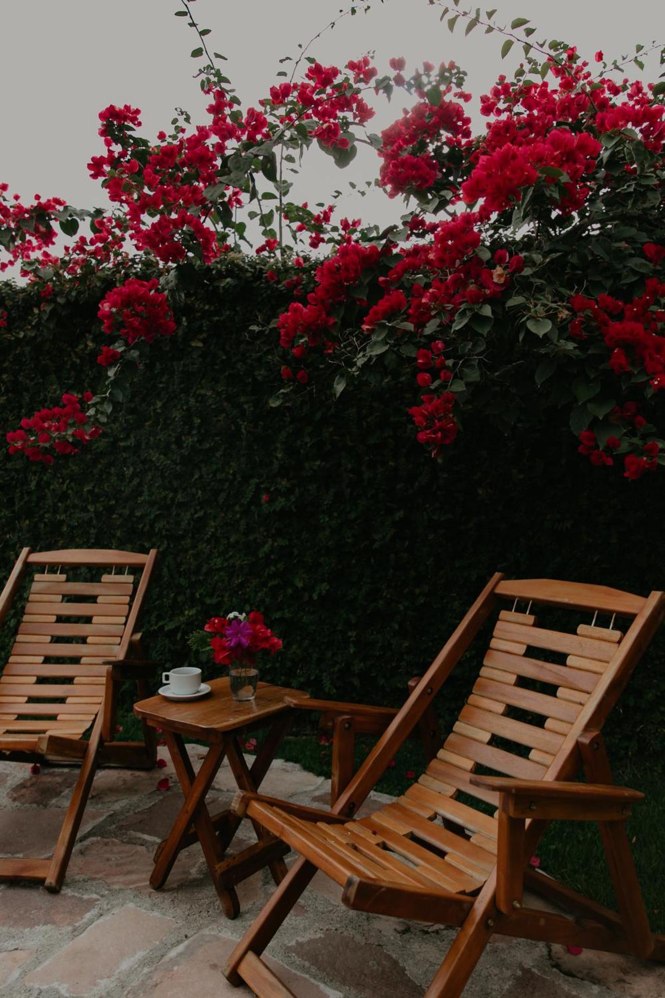 Pousada Primavera Otel Mucugê Dış mekan fotoğraf