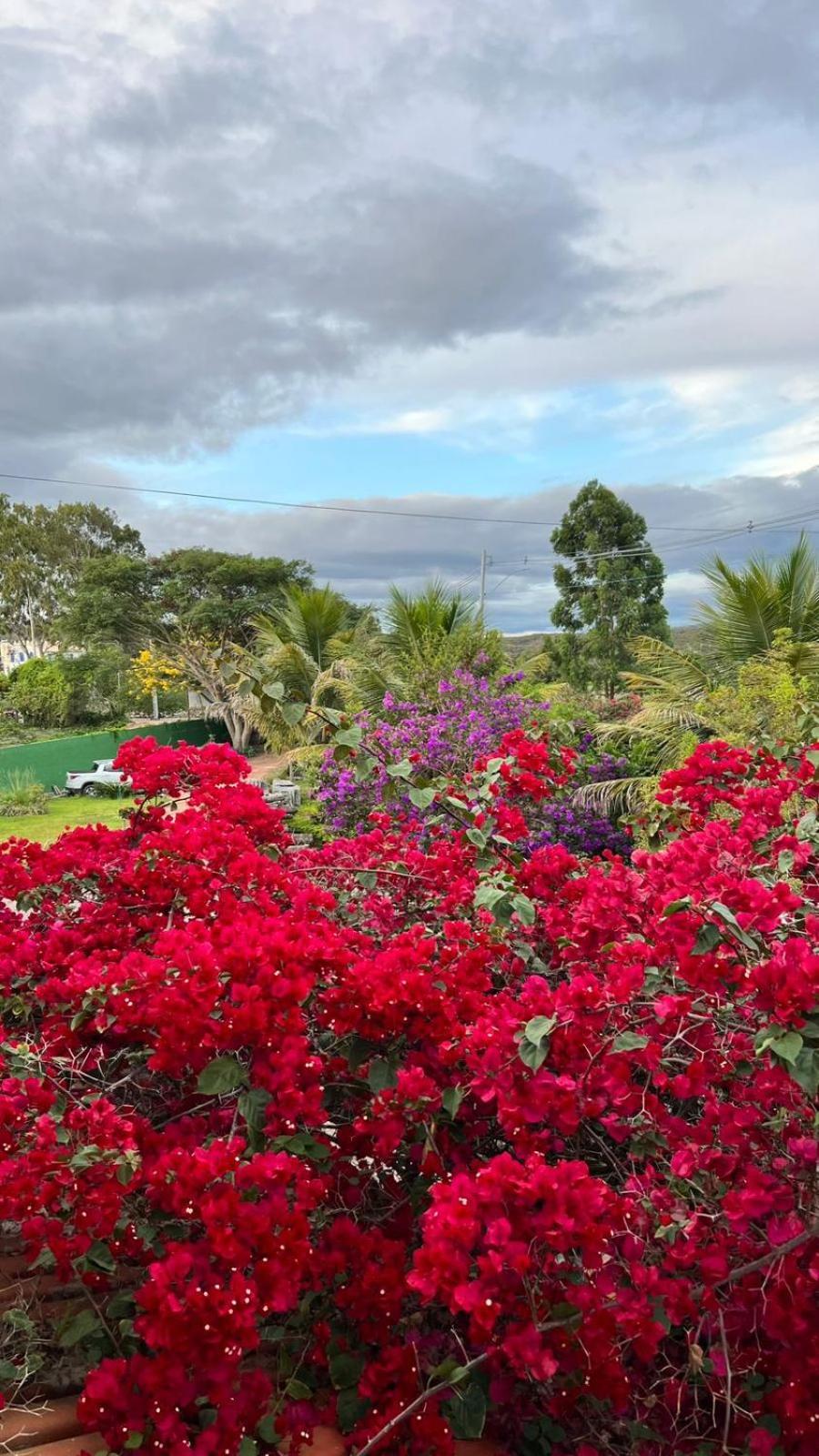 Pousada Primavera Otel Mucugê Dış mekan fotoğraf