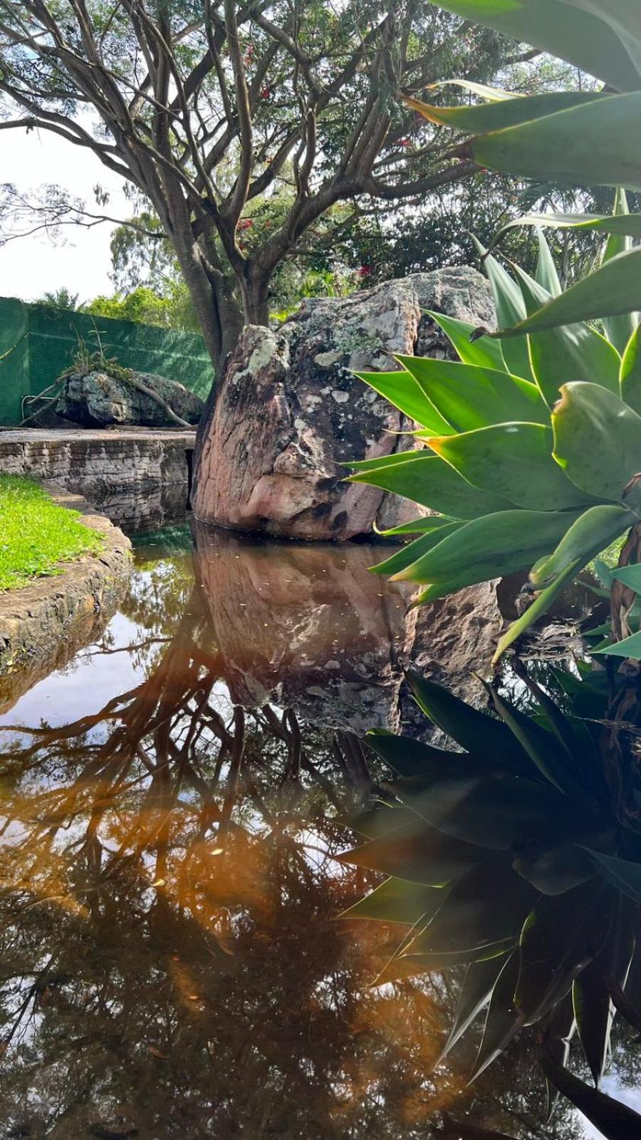 Pousada Primavera Otel Mucugê Dış mekan fotoğraf